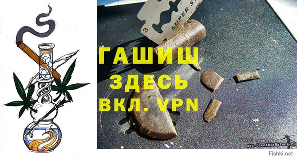PSILOCYBIN Алзамай