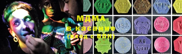 PSILOCYBIN Алзамай