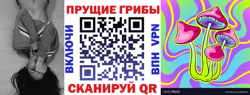 даркнет сайт  Шуя  Галлюциногенные грибы мицелий 