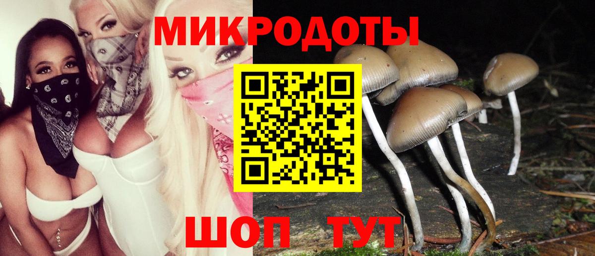 Псилоцибиновые грибы Magic Shrooms  Вход с VPN  Шуя  Псилоцибиновые грибы GOLDEN TEACHER 